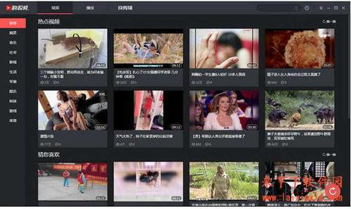 热点爆料视频在哪拍摄好,探寻幕后拍摄秘境 第2张 热点爆料视频在哪拍摄好,探寻幕后拍摄秘境 第2张